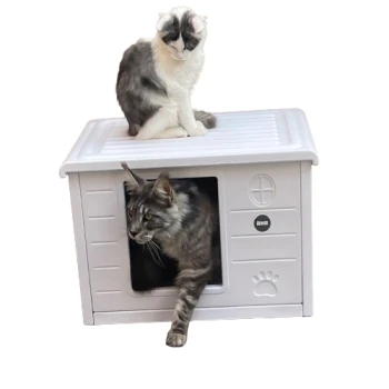 Zwei Katzen, eine graue getigerte, die aus einem weißen Katzenhaus herauskommt, und eine andere weiße Katze, die oben sitzt, beide schauen neugierig in die Kamera.