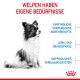 Ein flauschiger Hund im Profil auf einem weißen Hintergrund. Deutscher Text listet die Bedürfnisse von Welpen mit einem Kronenlogo in der unteren rechten Ecke auf.