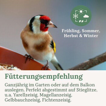 Stieglitz auf einem Stein-Futterspender mit Sonnenblumenkernen, deutscher Text über alle Jahreszeiten.