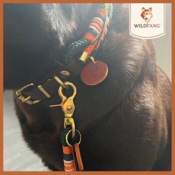 Eine Nahaufnahme des Halsbands eines braunen Hundes mit einer bunten geflochtenen Leine in Orange und Grün sowie einem runden Anhänger, der mit "WILDFANG" graviert ist.