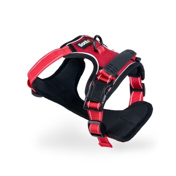 Hundegeschirr rot M
