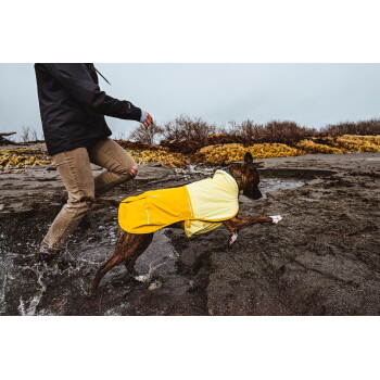 Eine Person in einer schwarzen Jacke läuft neben einem braunen Hund, der einen leuchtend gelben Regenmantel trägt, an einem nassen, sandigen Strand.