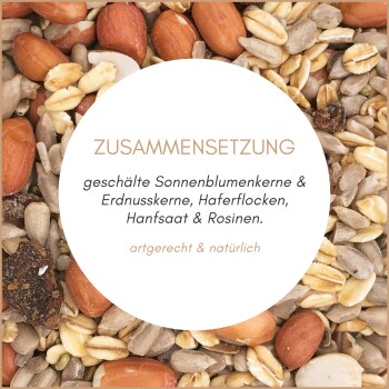 Gemischte Nüsse und Samen, darunter geschälte Sonnenblumenkerne, Erdnüsse, Hafer, Hanfsamen und Rosinen mit deutschem Text.