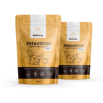 German Shephy Darmpulver Intestinal Pro 400 g