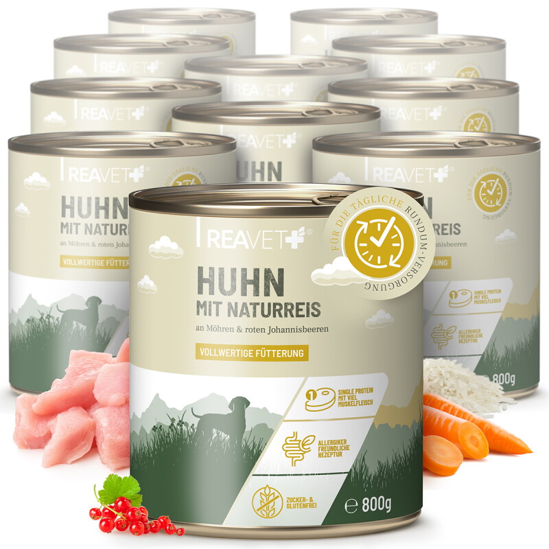 REAVET Hundenassfutter - Huhn mit Naturreis an Möhren & roten Johannisbeeren 12x800 g