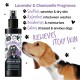 Bugalugs Lavendel- & Kamille-Deodorierungsspray für Hunde, mit dem Gesicht eines Beagles. Beruhigt die Haut, erfrischt, deodoriert und beruhigt Angst.