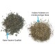 Katzenminze (Catnip) im 30g Beutel (getrocknet, geschnitten und gesiebt)