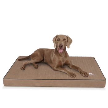 Ein brauner Hund liegt auf einem plüschigen Hundebett mit einer strukturierten Oberfläche, das einen schwarzen Rand hat und der Markenname "Feelwuff" sichtbar ist.