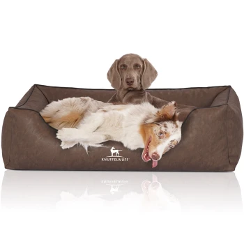Ein entspannter Hund liegt in einem gemütlichen braunen Hundebett, auf dessen Vorderseite das Logo "KNUFFELWUFF" sichtbar ist.