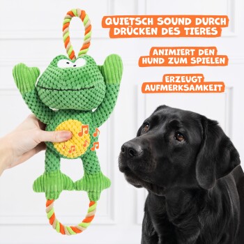 Eine Person hält ein grünes, froschförmiges Hundespielzeug mit Quietscher, während ein schwarzer Labrador zuschaut. Der Text hebt seine Verspieltheit hervor.
