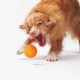 Goldbrauner Hund stößt mit der Pfote einen orange getupften Ball auf weißem Hintergrund an.