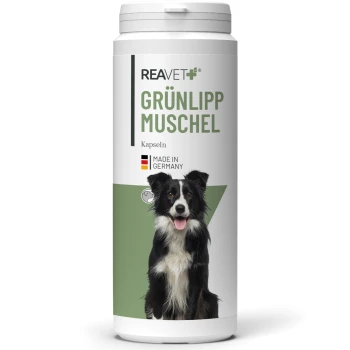 Behälter mit REAVET Grünlipp Muschel-Kapseln für Hunde, mit einem Border Collie auf dem Etikett, gekennzeichnet mit 'Hergestellt in Deutschland.'