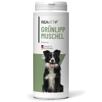 Behälter mit REAVET Grünlipp Muschel-Kapseln für Hunde, mit einem Border Collie auf dem Etikett, gekennzeichnet mit 'Hergestellt in Deutschland.'
