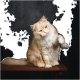 Un chat orange et blanc duveteux assis sur une table en bois, tenant joyeusement une petite balle en feutre avec sa patte, sur fond sombre.