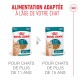 Sachets de nourriture Royal Canin pour chats seniors, 11+ et 15+ ans, morceaux en sauce de 85g, texte en français.
