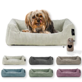 Ein hellgrünes, geripptes Hundebett mit einem kleinen Hund darin, umgeben von sechs Farbvariationen und einem herzförmigen Zubehör.