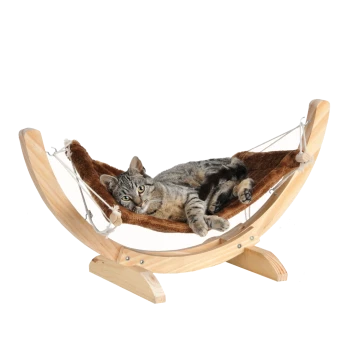 Eine entspannte graue getigerte Katze, die auf einer gemütlichen braunen Hängematte liegt, die von einem Holzrahmen gestützt wird, vor einem schlichten weißen Hintergrund.