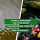 Geteiltes Bild: links trübes Teichwasser, rechts klares Wasser mit bunten Koi. Text: "Schnelle Klärung von Teichwasser, bindet Phosphate."