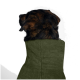 Ein Dobermann in einem gemütlichen olivgrünen Fleece-Hundemantel sitzt aufrecht und schaut nach oben vor einem schlichten weißen Hintergrund.