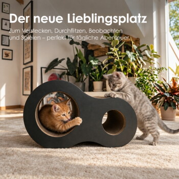 Zwei Kätzchen spielen mit einem schwarzen, achtförmigen Katzentunnel auf einem Teppich im Wohnzimmer; Text oben: 'Der neue Lieblingsplatz'.