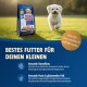 Hundefutterbeutel mit der Aufschrift „M!EAT“ und einem kleinen weißen Hund, der auf Gras läuft, zur Förderung gesunder Verdauung und glänzendem Fell.