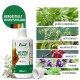 Hühner Land Hühnerpflegeprodukte einschließlich Kieselgur, Hühner Hefe, Milben Spray, Vitamine und Wermut-Formel mit einem Huhn im Gras.
