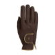 Brauner Haustierpflegehandschuh mit einer strukturierten Oberfläche und goldenen Akzenten, mit einem Handgelenkband mit einem Hand-Icon.