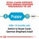 Royal Canin guide for German Shepherds, indicating "Puppy" at 2 months and "Adult" at 15 months, with a switch recommendation.