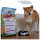 Ein Shiba Inu steht neben einem Hundefutterbeutel mit der Aufschrift "Bellfor" und einer schwarzen Schüssel mit demselben Markennamen.
