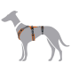 Illustration eines grauen Hundes, der ein verstellbares orange-schwarzes Geschirr trägt, das sein Design und seine Passform zeigt.