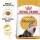 Royal Canin Adult Persian cat food bag with a fluffy Persian cat, emphasizing breed nutrition and kibble for long hair health.