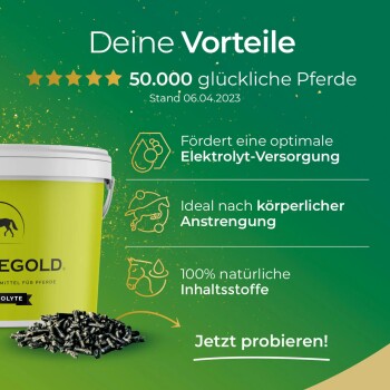 PFERDEGOLD Elektrolyte für Pferde in einem gelben Behälter, mit Salz, Erbsen und Blättern, die Qualität und Ergebnisse in 2 Wochen fördern.
