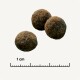 Three round, brown pet food pellets are displayed on a light background, with a ruler indicating a measurement of 1 cm.