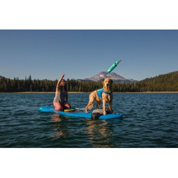 Ein Golden Retriever, der eine blaue Schwimmweste trägt, steht auf einem Paddleboard in einem See, während eine Person ein grünes Spielzeug in die Luft wirft.