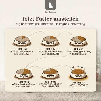 Deutsche Umstellungsanleitung für Katzenfutter: 90/10 (Tag 1–3), 75/25 (Tag 4–6), 60/40 (Tag 7–9), 40/60 (Tag 10–12), 25/75 (Tag 13–15), 100 % (ab Tag 16)