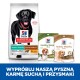 Czarny pies z czerwoną obrożą stoi obok torebek karmy i przysmaków Hill's Science Plan, z niebieskim banerem promującym produkty.