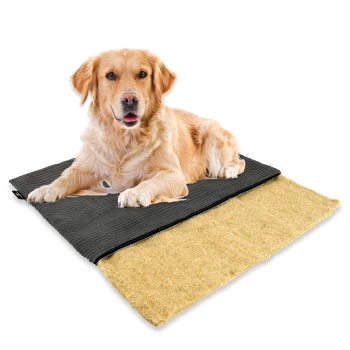 Golden Retriever liegt auf einer schwarzen Haustiermatte mit beiger, strukturierter Unterseite, freigestellt auf weißem Hintergrund.