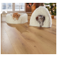 Een fluffy wit huisdierbed met een oranje kat die erin ligt, en een gezellige witte kattenhol met een grijze tabby kat die eruit kijkt, op een houten vloer.