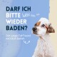 Ein süßer Hund mit einem seifigen Kopf schaut neugierig den Betrachter an. Der Text lautet: "Darf ich bitte wieder baden? Dein junger Fell-Freund wird drum betteln."