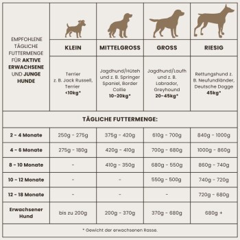 Infografik, die die empfohlenen täglichen Futtermengen für aktive erwachsene und junge Hunde zeigt, kategorisiert nach Größe: kleine, mittlere, große und riesige Rassen.