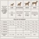 Infografik, die die empfohlenen täglichen Futtermengen für aktive erwachsene und junge Hunde zeigt, kategorisiert nach Größe: kleine, mittlere, große und riesige Rassen.