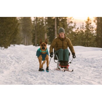 Eine Person in einem Wintermantel sitzt in einem Schlitten auf einem verschneiten Weg, begleitet von einem braunen Hund, der einen blauen Mantel und Stiefel trägt.