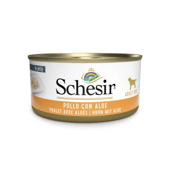 Schesir Dosen-Hundefutter in Gelee, mit der Aufschrift "Pollo con Aloe," mit einem goldenen Deckel und einer Hundesilhouette, geeignet für erwachsene Hunde.
