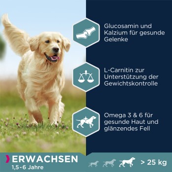 Ein Golden Retriever auf Gras, der ein Haustierprodukt mit Glucosamin, Calcium, L-Carnitin und Omega 3 & 6 für gesunde Gelenke und Fell bewirbt.
