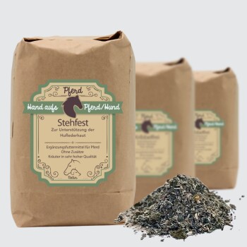 Brauner Papierbeutel mit der Aufschrift 'Stehfest' für Pferde- und Hundesupplemente, mit einem Haufen Kräutermischung davor, der einen gesunden Stoffwechsel fördert.