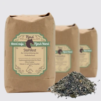 Brauner Papierbeutel mit der Aufschrift 'Stehfest' für Pferde- und Hundesupplemente, mit einem Haufen Kräutermischung davor, der einen gesunden Stoffwechsel fördert.
