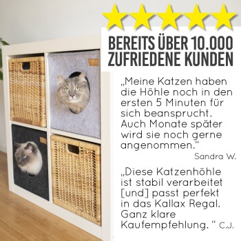 Katzenmöbel mit zwei Katzen in Filzkisten. Der Text erwähnt über 10.000 zufriedene Kunden und enthält zwei positive Bewertungen.