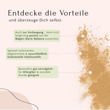 Bild, das die gesundheitlichen Vorteile für Haustiere bewirbt, mit Text über die Verdauungsbalance, funktionale Zutaten und Eignung für empfindliche Hunde.