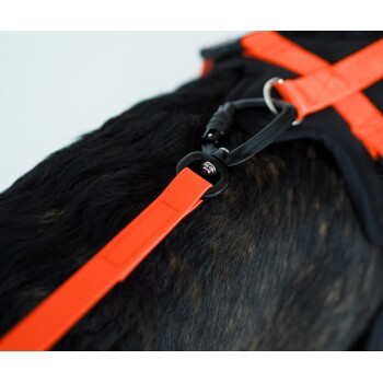 Nahaufnahme des Rückens eines schwarzen Hundes, der ein leuchtend orangefarbenes Geschirr mit Leinenbefestigung trägt, das das Design und die Textur des Geschirrs zeigt.