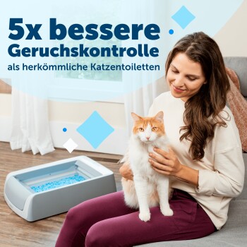 Eine grau-weiße Katze nähert sich einer Katzentoilette auf Teppich, mit Text über eine vorportionierte Katzenschale, die einen Monat hält und das Chaos minimiert.